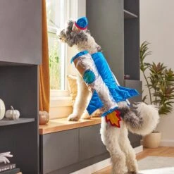 Frisco Rocket Ship Dog & Cat Costume 17 Frisco Rocket Ship Dog & Cat Costume -Blue Buffalo Shop 260904 PT8. AC SS1800 V1624400386