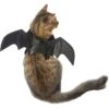Frisco Bat Wings Dog & Cat Costume 2 Frisco Bat Wings Dog & Cat Costume -Blue Buffalo Shop 261113 MAIN. AC SS1800 V1625076458