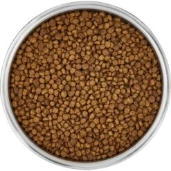 Frisco Insulated Non-Skid Stainless Steel Dog & Cat Bowl 14 Frisco Insulated Non-Skid Stainless Steel Dog & Cat Bowl -Blue Buffalo Shop 261757 PT4. AC SS1800 V1623937392