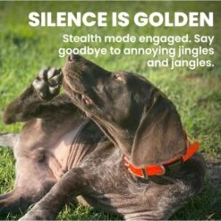 DOG ID Personalized Dog ID Tag -Blue Buffalo Shop 262031 PT4. AC SS1800 V1685986071