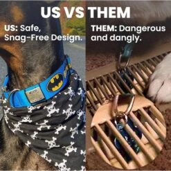 DOG ID Personalized Dog ID Tag -Blue Buffalo Shop 262031 PT5. AC SS1800 V1685986514