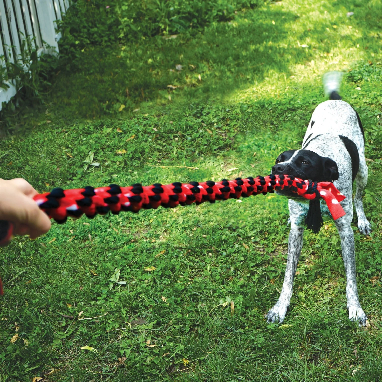 KONG Signature Double Tug Rope Dog Toy 5 KONG Signature Double Tug Rope Dog Toy - Image 3