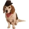 Rubie's Costume Company Cowboy Set Dog Costume 1 Rubie's Costume Company Cowboy Set Dog Costume -Blue Buffalo Shop 263126 MAIN. AC SS1800 V1606846324
