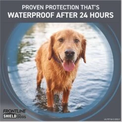Frontline Shield Flea & Tick Treatment For Small Dogs, 11 - 20 Lbs -Blue Buffalo Shop 263171 PT6. AC SS1800 V1696451639