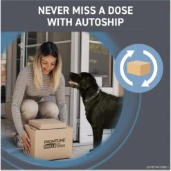 Frontline Shield Flea & Tick Treatment For Small Dogs, 11 - 20 Lbs -Blue Buffalo Shop 263171 PT8. AC SS1800 V1696449985