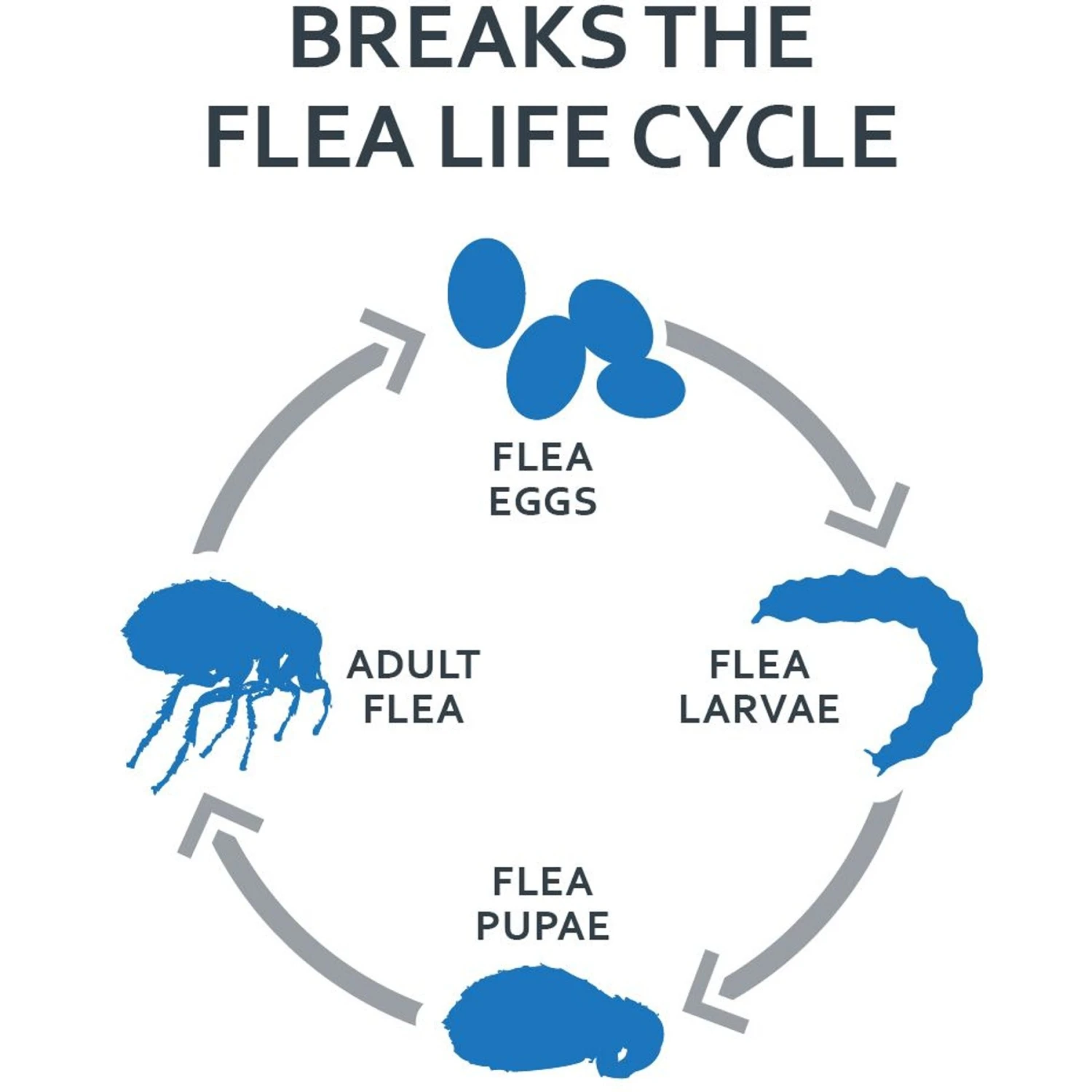 Sentry Fiproguard Plus Squeeze-On Dog Flea & Tick Treatment, 45 - 88lbs 6 Sentry Fiproguard Plus Squeeze-On Dog Flea & Tick Treatment, 45 - 88lbs - Image 4