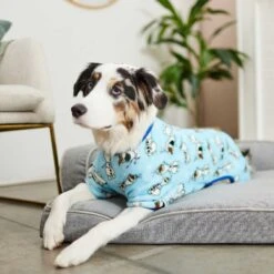 Disney Frozen's Olaf Dog & Cat Plush Fleece PJ -Blue Buffalo Shop 264594 PT5. AC SS1800 V1637647900