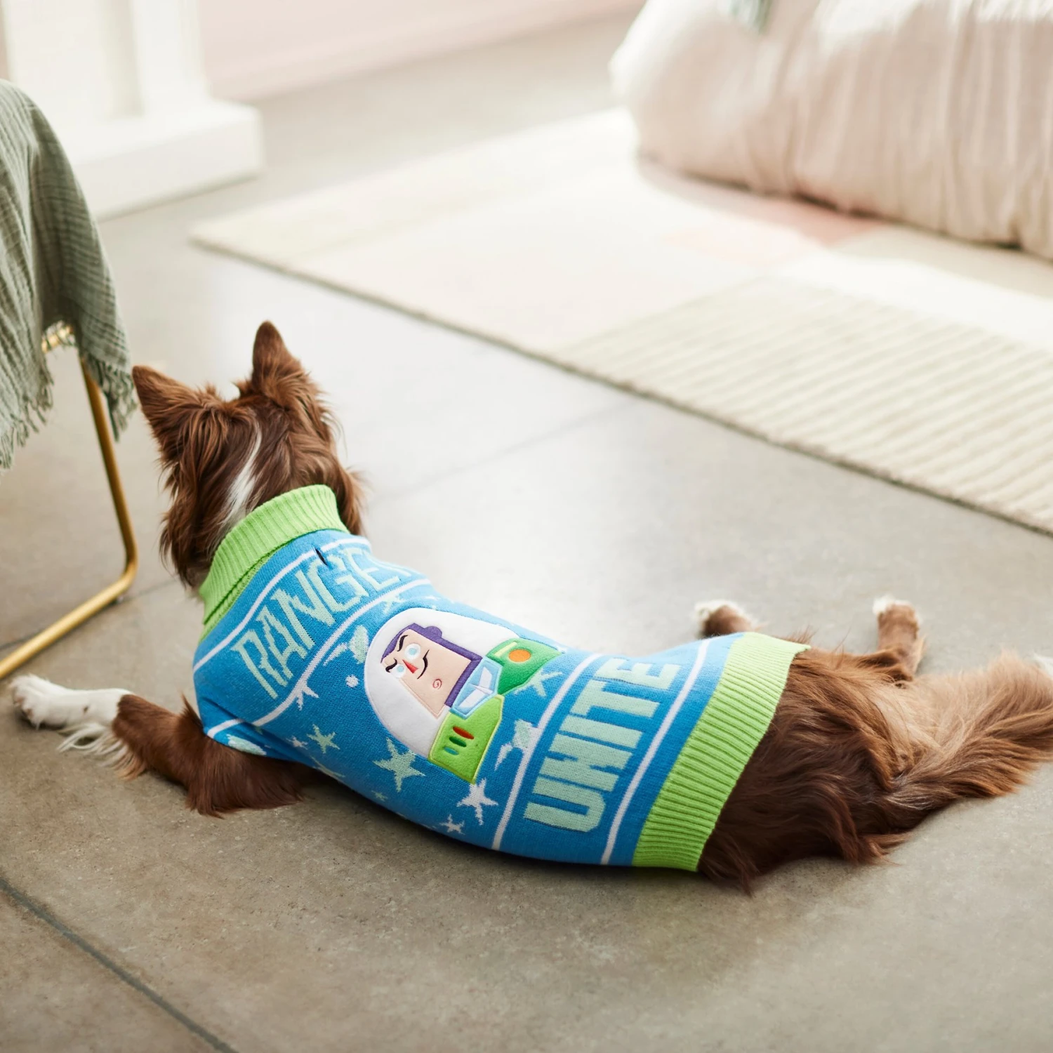 Disney Pixar Toy Story Buzz Lightyear "Unite" Dog & Cat Sweater 9 Disney Pixar Toy Story Buzz Lightyear "Unite" Dog & Cat Sweater - Image 7