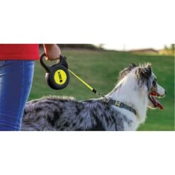 KONG Retractable Reflect Reflective Retractable Dog Leash, Black -Blue Buffalo Shop 264962 PT1. AC SS1800 V1611081058