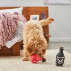 Frisco Magic Potions Latex Squeaky Dog Toy, 2 Count -Blue Buffalo Shop 265632 PT3. AC SS1800 V1620939021