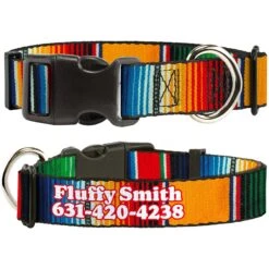 Buckle-Down Polyester Personalized Dog Collar, Zarape