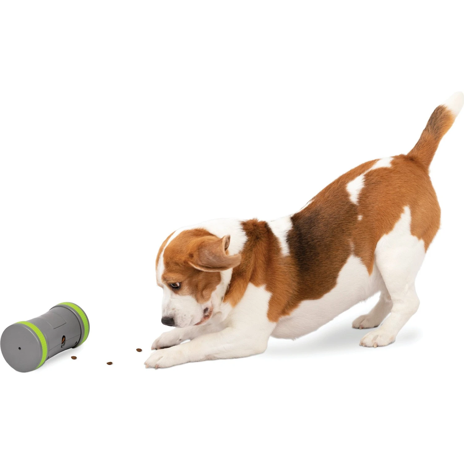 PetSafe Kibble Chase Roaming Treat Dropper Dog Toy 3 PetSafe Kibble Chase Roaming Treat Dropper Dog Toy