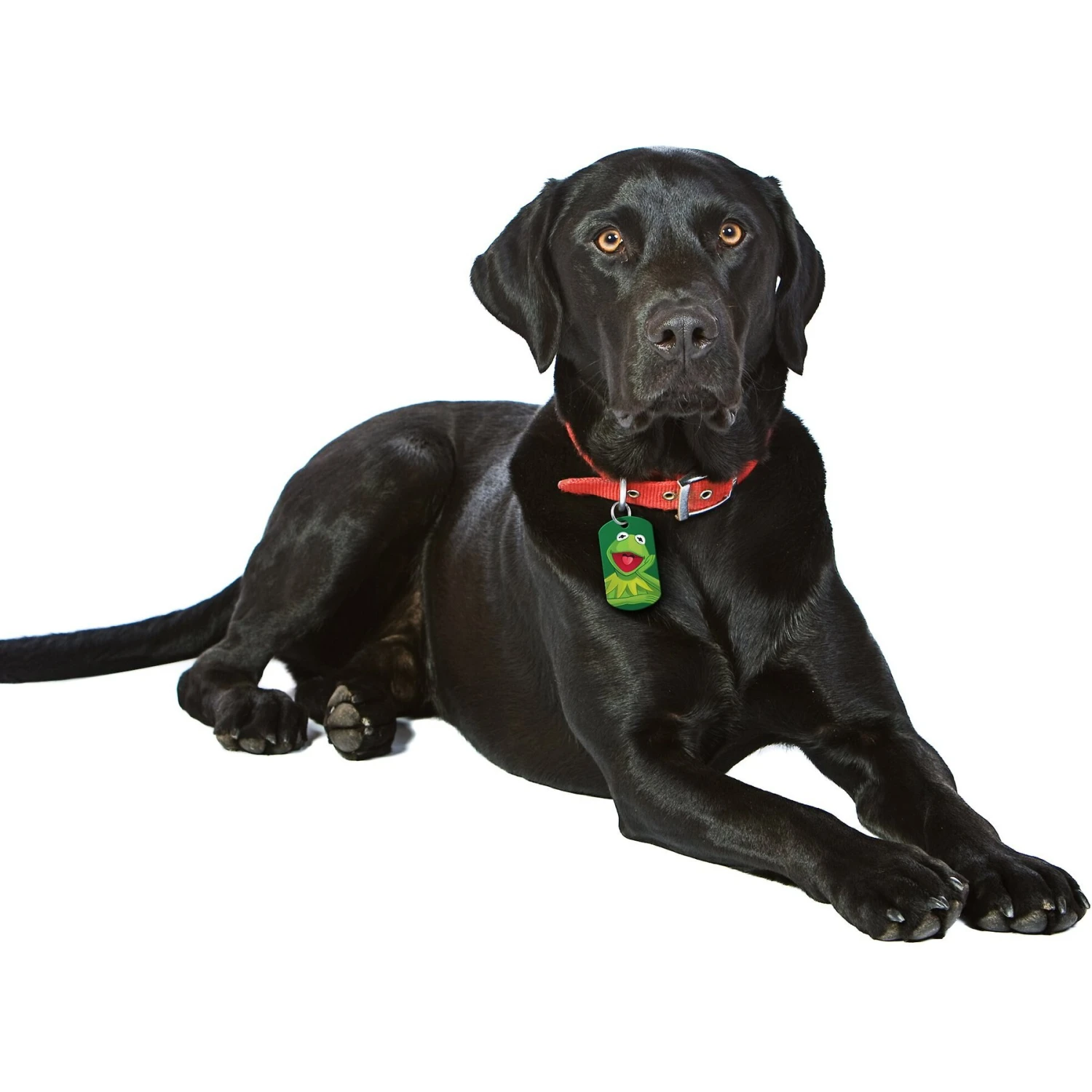 Quick-Tag Disney's Muppets Kermit Military Personalized Dog & Cat ID Tag 6 Quick-Tag Disney's Muppets Kermit Military Personalized Dog & Cat ID Tag - Image 4