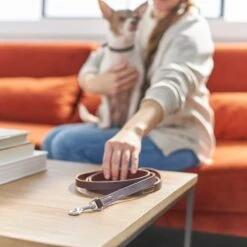 Frisco Top Grain Leather Leash 7 Frisco Top Grain Leather Leash -Blue Buffalo Shop 266521 PT3. AC SS1800 V1619536628