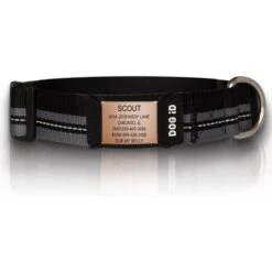 DOG ID The Rock Solid Personalized ID Tag Dog Collar, Rose Gold