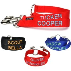 GoTags Personalized Dual Dog Leash Coupler 8 GoTags Personalized Dual Dog Leash Coupler -Blue Buffalo Shop 268813 PT1. AC SS1800 V1611093753