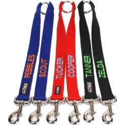 GoTags Personalized Dual Dog Leash Coupler 9 GoTags Personalized Dual Dog Leash Coupler -Blue Buffalo Shop 268813 PT2. AC SS1800 V1611093753