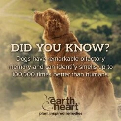 Earth Heart Buzz Guard Aromatherapy Dog Spray -Blue Buffalo Shop 269143 PT5. AC SS1800 V1611354121