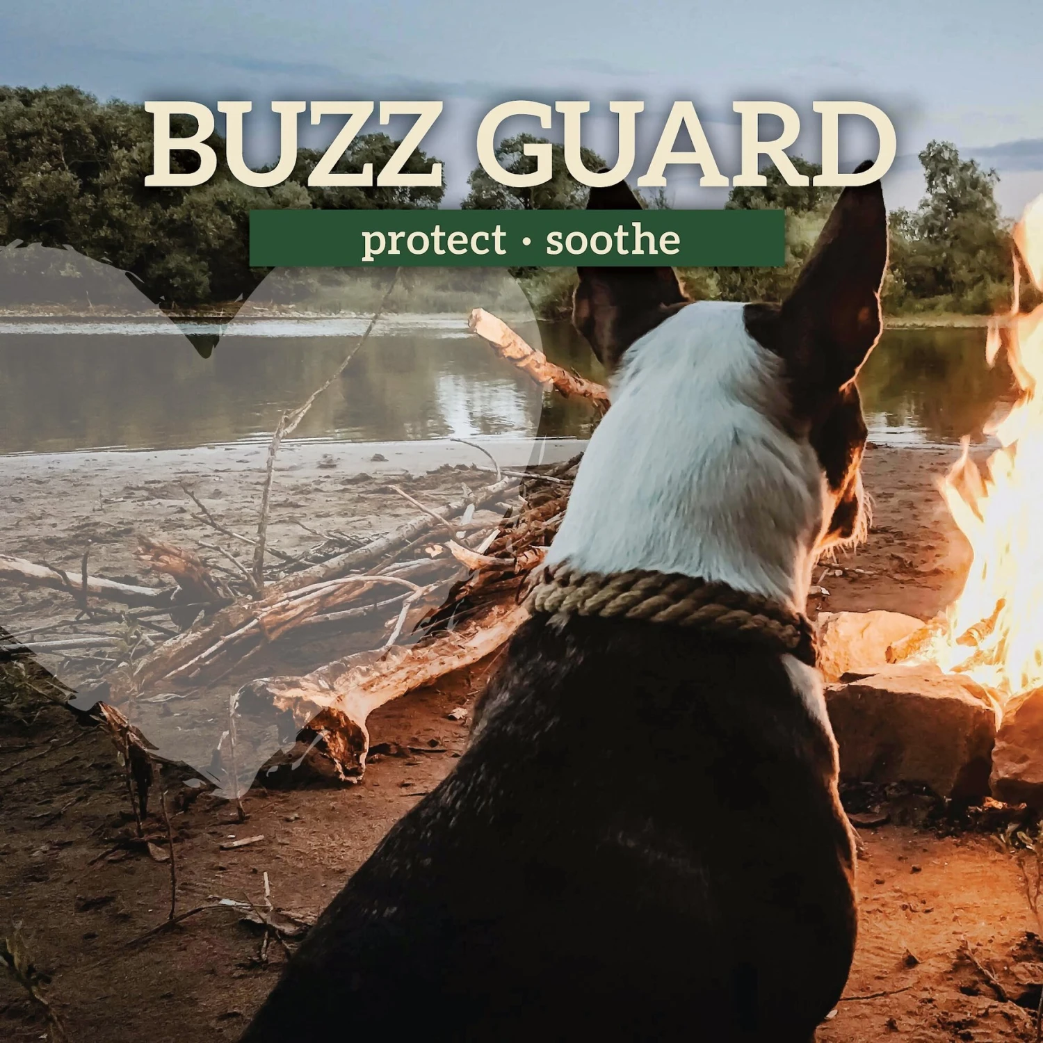 Earth Heart Buzz Guard Aromatherapy Dog Treatment 6 Earth Heart Buzz Guard Aromatherapy Dog Treatment - Image 4