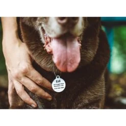 Dog Tag Art Rescue Dogs Rule Pink Personalized Dog ID Tag -Blue Buffalo Shop 269692 PT4. AC SS1800 V1612314075