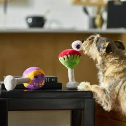 Frisco Halloween Cocktail Plush Squeaky Dog Toy -Blue Buffalo Shop 270361 PT3. AC SS1800 V1624817495