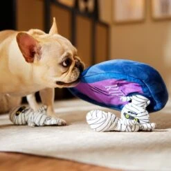 Frisco Halloween Mummy & Coffin Hide & Seek Puzzle Plush Squeaky Dog Toy 11 Frisco Halloween Mummy & Coffin Hide & Seek Puzzle Plush Squeaky Dog Toy -Blue Buffalo Shop 270365 PT3. AC SS1800 V1624817620