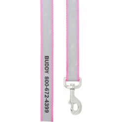 Frisco Solid Polyester Personalized Reflective Dog Leash -Blue Buffalo Shop 270686 PT2. AC SS1800 V1618262525