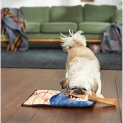 Frisco Camping Smores & Sleeping Bag Flat Plush Squeaky Dog Toy, 2 Count -Blue Buffalo Shop 271018 PT3. AC SS1800 V1625009010