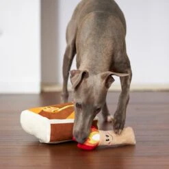 Frisco Camping Match Box 2-in-1 Plush Squeaky Dog Toy 9 Frisco Camping Match Box 2-in-1 Plush Squeaky Dog Toy -Blue Buffalo Shop 271029 PT3. AC SS1800 V1625008996