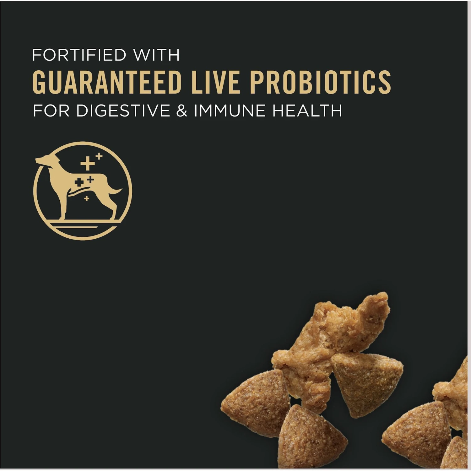 Purina Pro Plan Complete Essentials Shredded Blend Turkey & Rice Formula High Protein Dry Dog Food 5 Purina Pro Plan Complete Essentials Shredded Blend Turkey & Rice Formula High Protein Dry Dog Food - Image 3