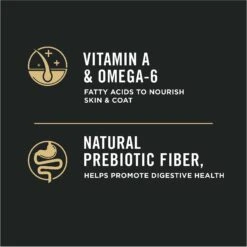 Purina Pro Plan Complete Essentials Shredded Blend Turkey & Rice Formula High Protein Dry Dog Food 17 Purina Pro Plan Complete Essentials Shredded Blend Turkey & Rice Formula High Protein Dry Dog Food -Blue Buffalo Shop 271621 PT6. AC SS1800 V1649203345