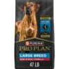 Purina Pro Plan Specialized Beef & Rice Formula High Protein Large Breed Dry Dog Food -Blue Buffalo Shop 271625 MAIN. AC SS1800 V1649107610