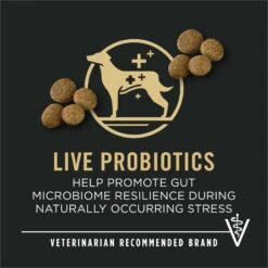 Purina Pro Plan Specialized Beef & Rice Formula High Protein Large Breed Dry Dog Food 19 Purina Pro Plan Specialized Beef & Rice Formula High Protein Large Breed Dry Dog Food -Blue Buffalo Shop 271625 PT8. AC SS1800 V1649215996