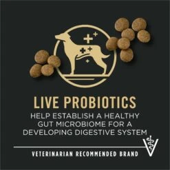 Purina Pro Plan Development Beef & Rice Formula High Protein Large Breed Dry Puppy Food 19 Purina Pro Plan Development Beef & Rice Formula High Protein Large Breed Dry Puppy Food -Blue Buffalo Shop 271628 PT8. AC SS1800 V1649197937