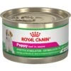 Royal Canin Puppy Appetite Stimulation Canned Dog Food 1 Royal Canin Puppy Appetite Stimulation Canned Dog Food -Blue Buffalo Shop 272067 MAIN. AC SS1800 V1696441070