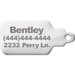 Trill Paws Spicy AF Personalized Dog & Cat ID Tag -Blue Buffalo Shop 272388 PT3. AC SS1800 V1631734300