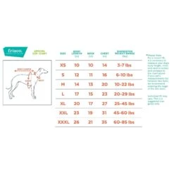 Frisco Mr. Claus Dog & Cat Costume 9 Frisco Mr. Claus Dog & Cat Costume -Blue Buffalo Shop 276142 PT1. AC SS1800 V1631912547