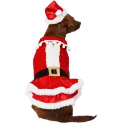 Frisco Mrs. Claus Dog & Cat Costume -Blue Buffalo Shop 276150 PT3. AC SS1800 V1631572139