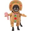 Frisco Front Walking Gingerbread Dog & Cat Costume -Blue Buffalo Shop 276156 MAIN. AC SS1800 V1631659697