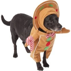 Frisco Front Walking Gingerbread Dog & Cat Costume 12 Frisco Front Walking Gingerbread Dog & Cat Costume -Blue Buffalo Shop 276156 PT3. AC SS1800 V1631660334