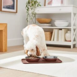 Frisco Silicone Stainless Steel Double Diner Dog & Cat Bowl, Brown 11 Frisco Silicone Stainless Steel Double Diner Dog & Cat Bowl, Brown -Blue Buffalo Shop 277551 PT2. AC SS1800 V1630346531