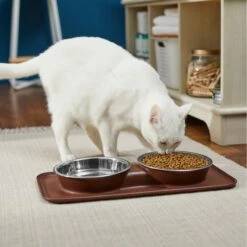 Frisco Silicone Stainless Steel Double Diner Dog & Cat Bowl, Brown 12 Frisco Silicone Stainless Steel Double Diner Dog & Cat Bowl, Brown -Blue Buffalo Shop 277551 PT3. AC SS1800 V1630348104