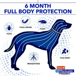 Hartz Ultra Guard ProMax Flea & Tick Collar For Dogs, 2 Collars (12-mos. Supply) -Blue Buffalo Shop 277698 PT2. AC SS1800 V1676477185
