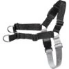 Frisco Basic No Pull Harness 2 Frisco Basic No Pull Harness -Blue Buffalo Shop 277873 MAIN. AC SS1800 V1629758946