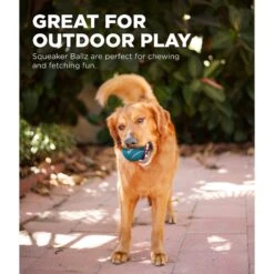 Outward Hound Squeaker Balls Small Dog Toys, 8 Count -Blue Buffalo Shop 278085 PT3. AC SS1800 V1636516946