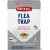 ENOZ Trap-N-Kill Flea Trap, 1 Count -Blue Buffalo Shop 278583 MAIN. AC SS1800 V1614810092