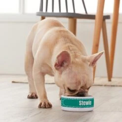 Frisco Personalized General Dog & Cat Small Dog Bowl 9 Frisco Personalized General Dog & Cat Small Dog Bowl -Blue Buffalo Shop 278924 PT3. AC SS1800 V1629147374