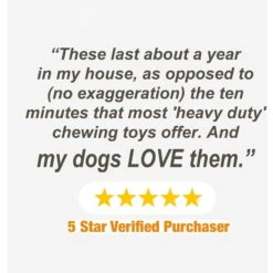 Nylabone Power Chew Nylon Dog Bones Bundle Chicken, Bacon & Peanut Butter -Blue Buffalo Shop 279847 PT6. AC SS1800 V1688147837