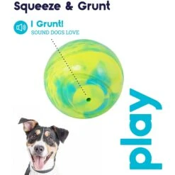 Petstages Grunt N Punt Squeaky Tennis Ball Dog Toy -Blue Buffalo Shop 280172 PT4. AC SS1800 V1636515449