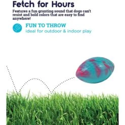 Petstages Grunt N Punt Football Dog Toy, Blue & Pink -Blue Buffalo Shop 280174 PT2. AC SS1800 V1636504901